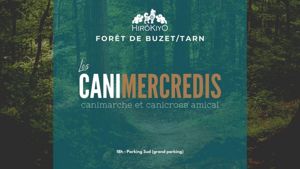 Canimarche et canicross foret de buzet